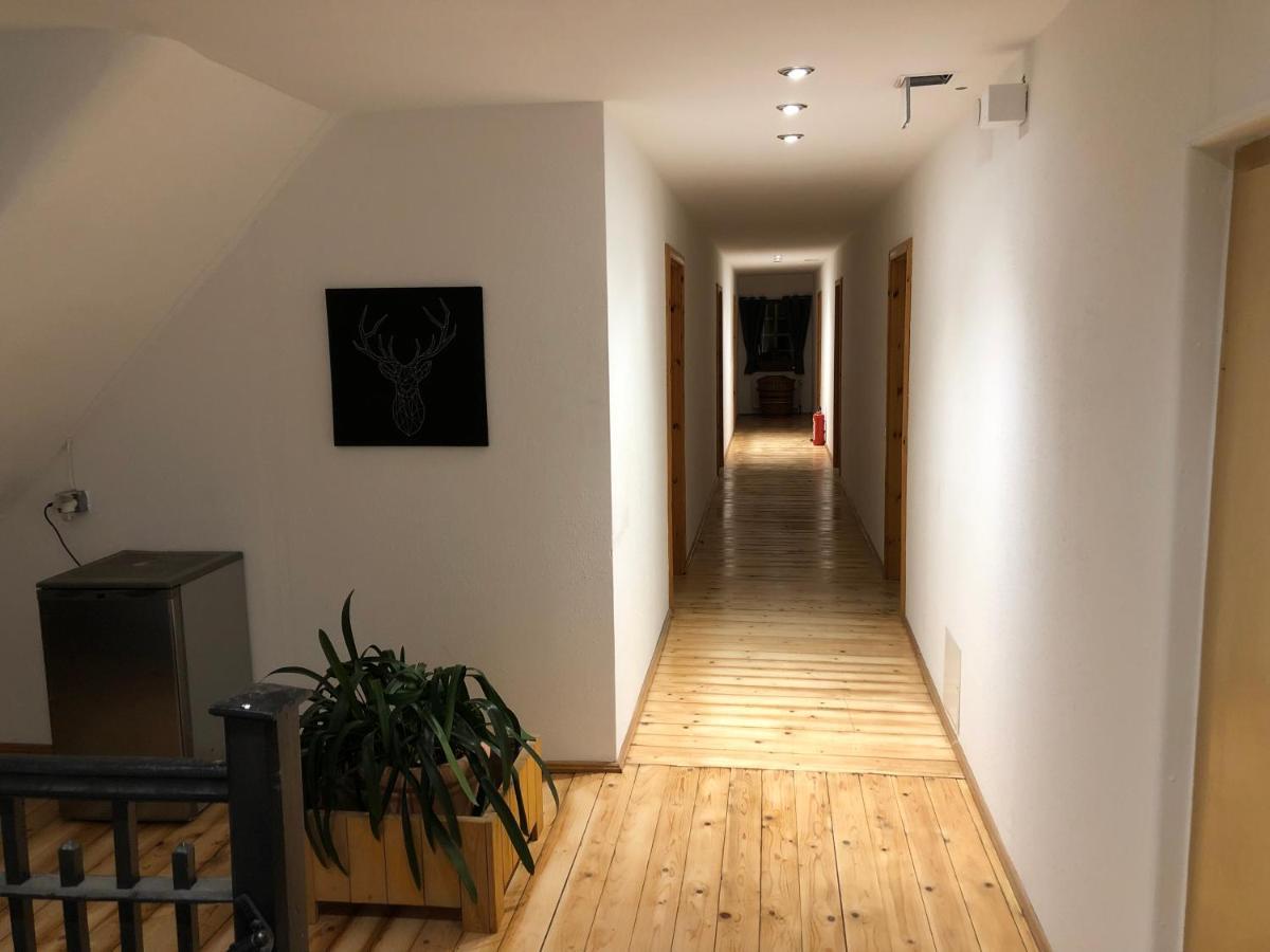Pension Schwalbenhof Gestut Bartos Lommatzsch エクステリア 写真
