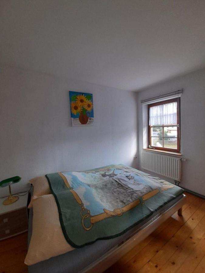 Pension Schwalbenhof Gestut Bartos Lommatzsch エクステリア 写真