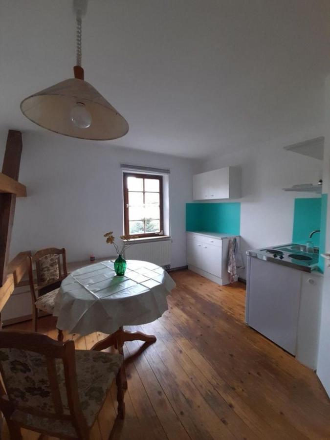 Pension Schwalbenhof Gestut Bartos Lommatzsch エクステリア 写真